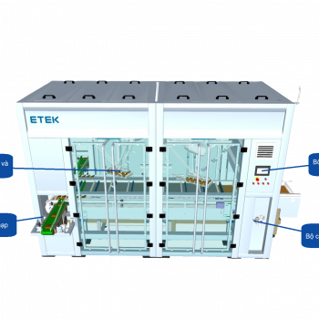 Hệ Thống Đóng Thùng Tự Động Cho Bánh Kẹo