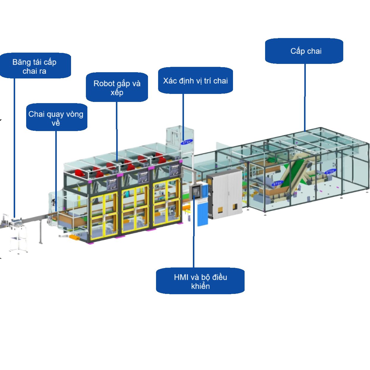Hệ Thống Đóng Thùng Tự Động Cho Chai Lọ