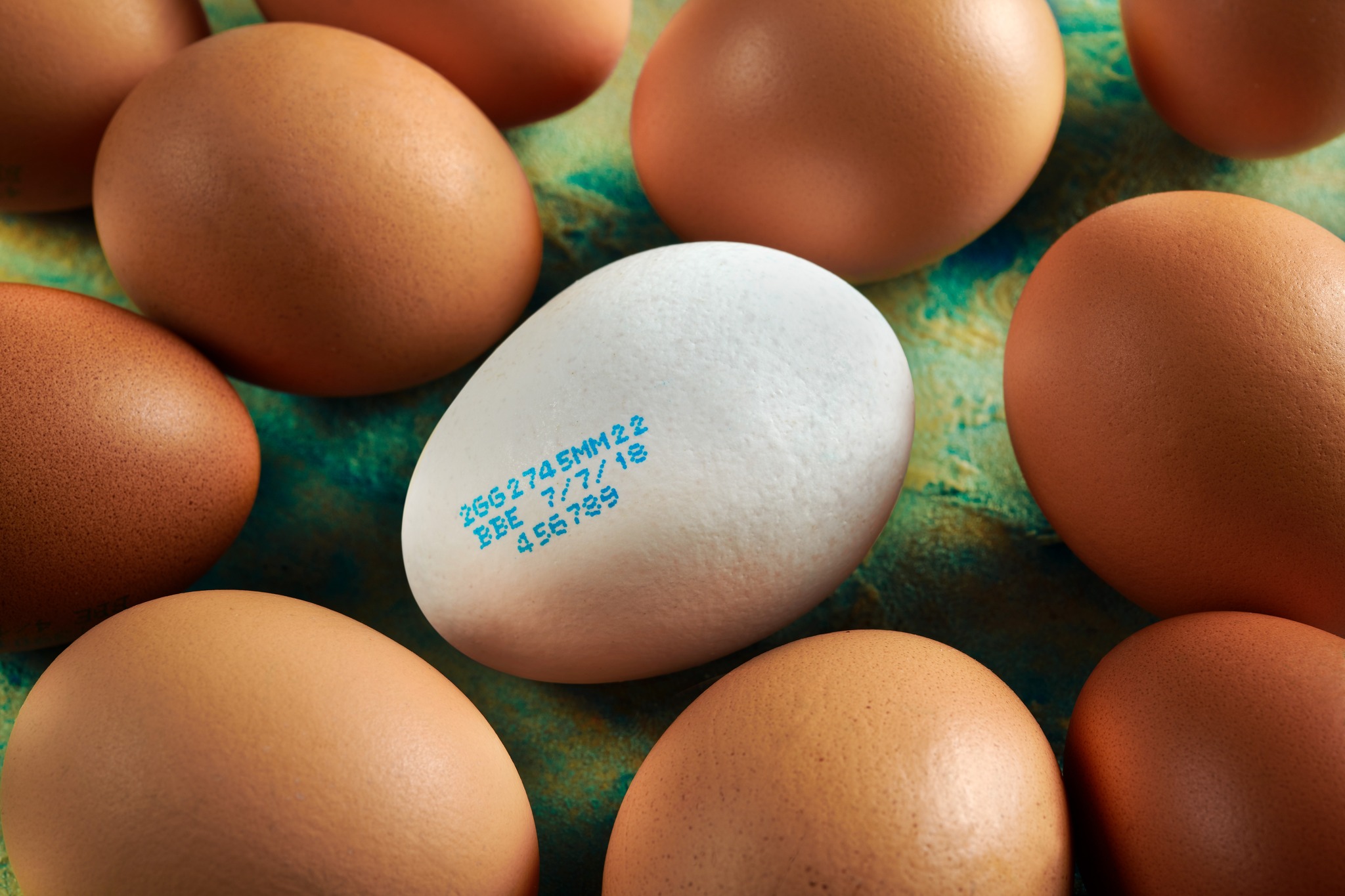 Print Information On Egg Shells