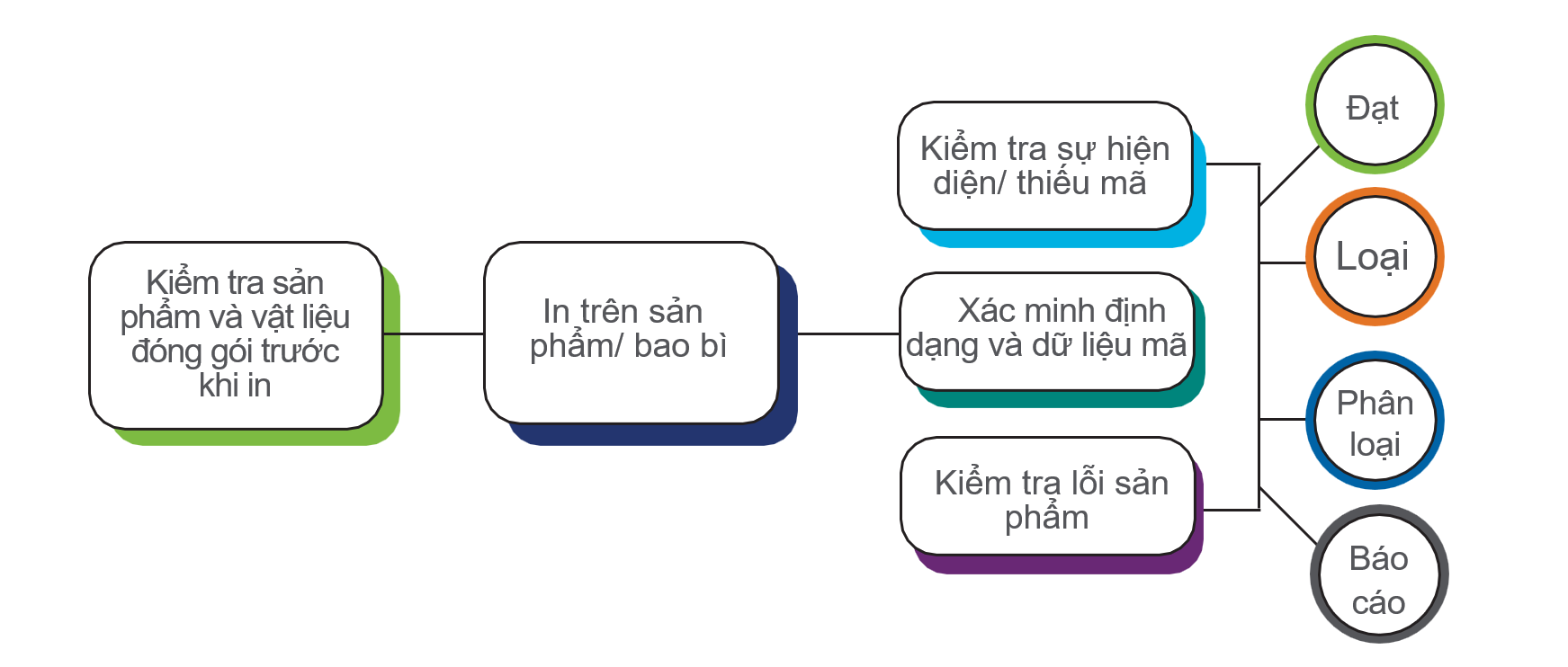 Giải Pháp Vision Inspection: Kiểm Tra Bằng Thị Giác Máy