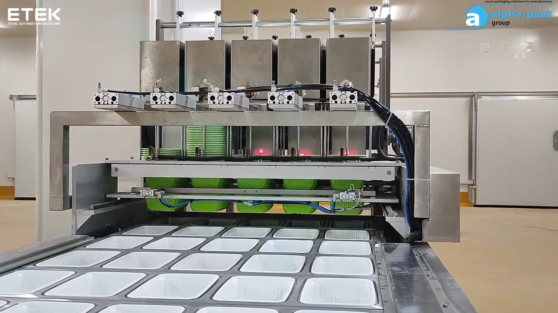 công đoạn đưa khay vào hệ thống cấp liệu