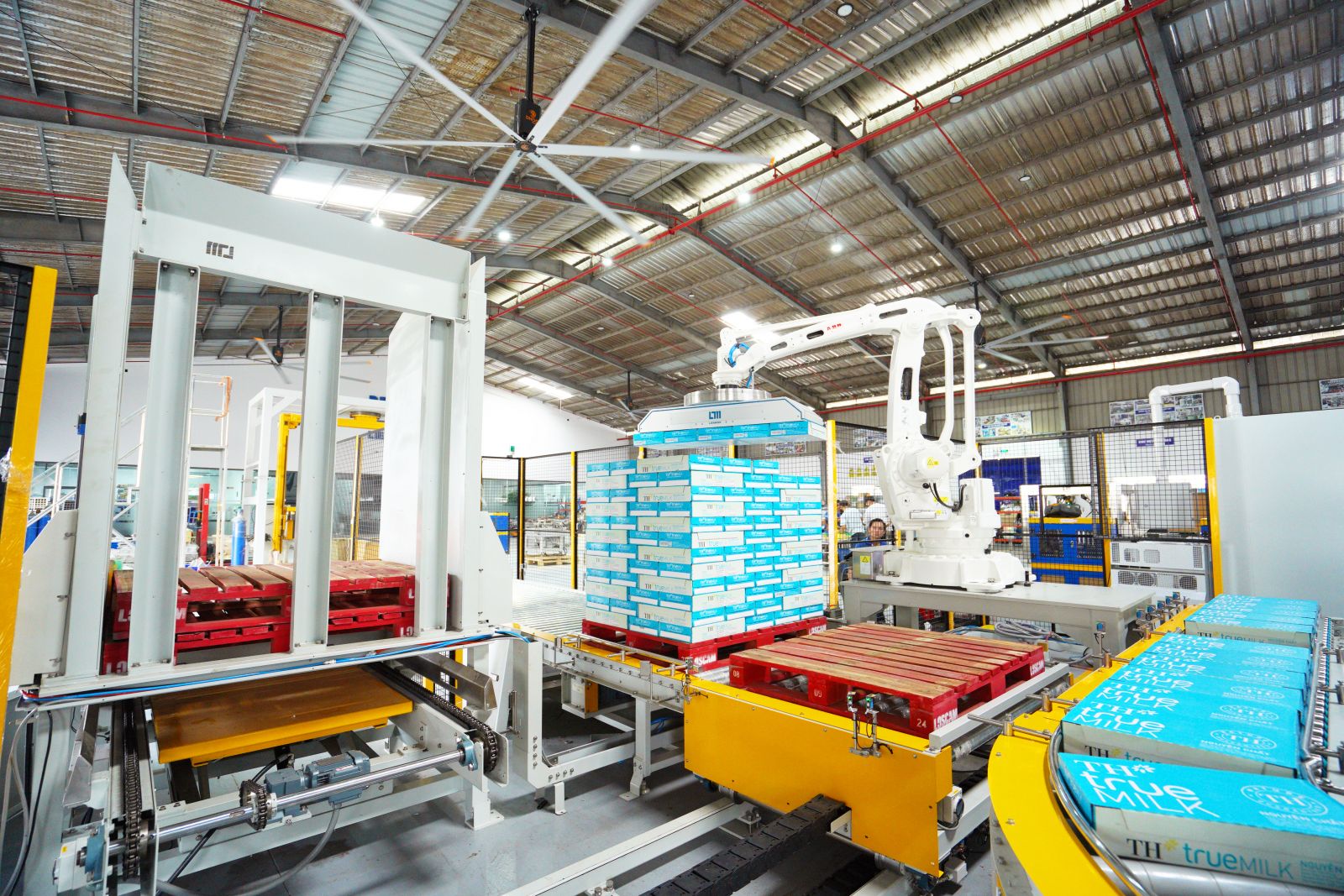 xếp pallet tự động