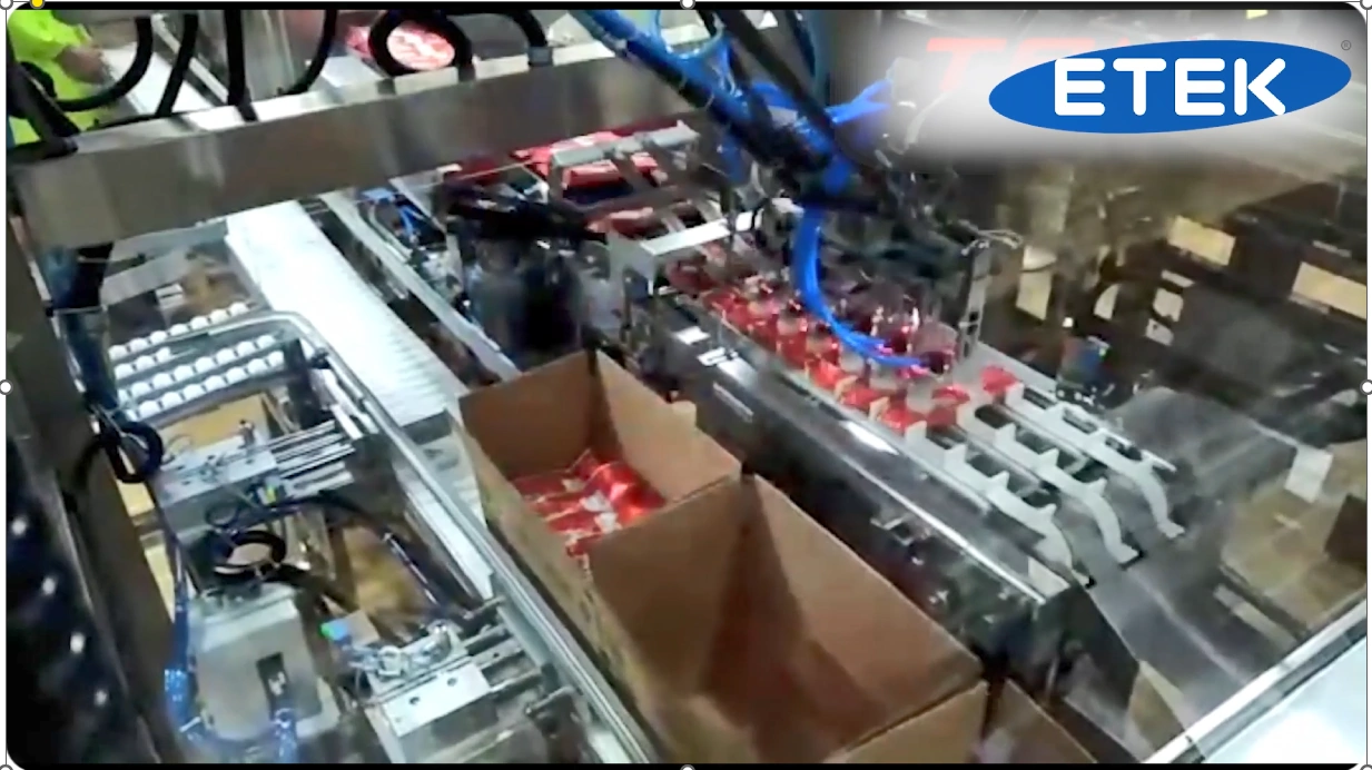 Banner Automatic Cartoning System For Cream Bags 1