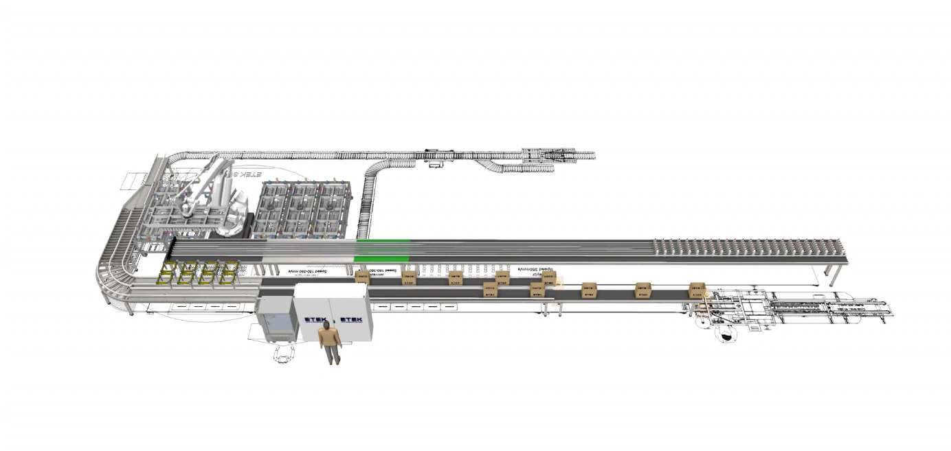 Banner Automatic Cartoning System For Fish Sauce Bottles 2